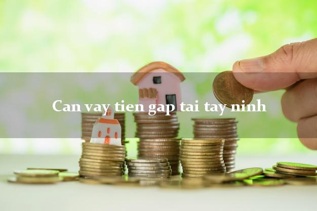 Can vay tien gap tai tay ninh